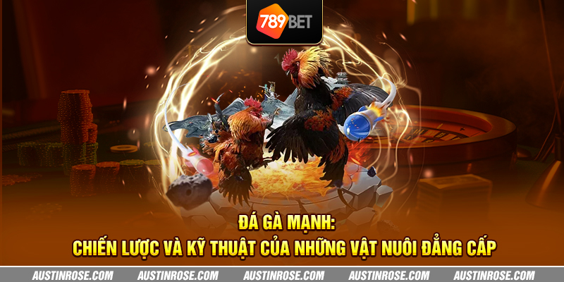 Đá gà mạnh: Chiến lược và kỹ thuật của những vật nuôi đẳng cấp 3 da ga manh chien luoc va ky thuat cua nhung vat nuoi dang cap