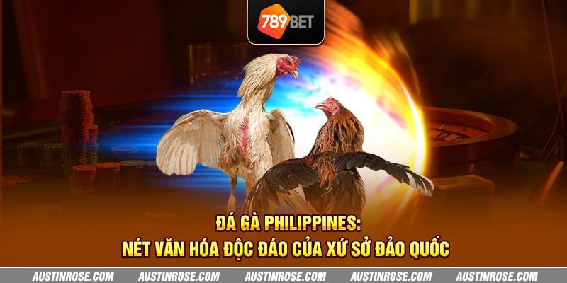 Đá gà Philippines: Nét văn hóa độc đáo của xứ sở đảo quốc 2 da ga philippines net van hoa doc dao cua xu so dao quoc