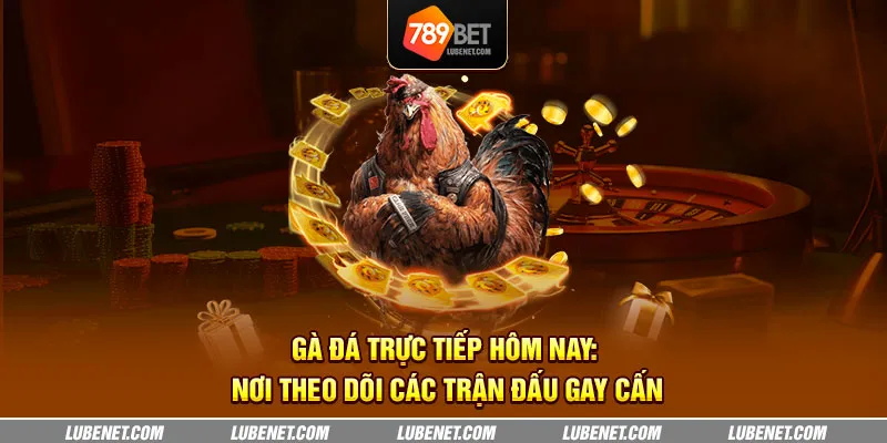 Gà đá trực tiếp hôm nay: Nơi theo dõi các trận đấu gay cấn 4 ga da truc tiep hom nay noi theo doi cac tran dau gay can 8 11zon