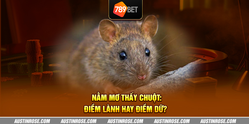 Nằm mơ thấy chuột: Điềm lành hay điềm dữ? 1 nam mo thay chuot diem lanh hay diem du