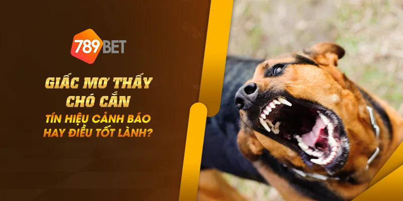 Giấc mơ thấy chó cắn: Tín hiệu cảnh báo hay điều tốt lành? 1 anh dai dien giac mo thay cho can tin hieu canh bao hay dieu tot lanh