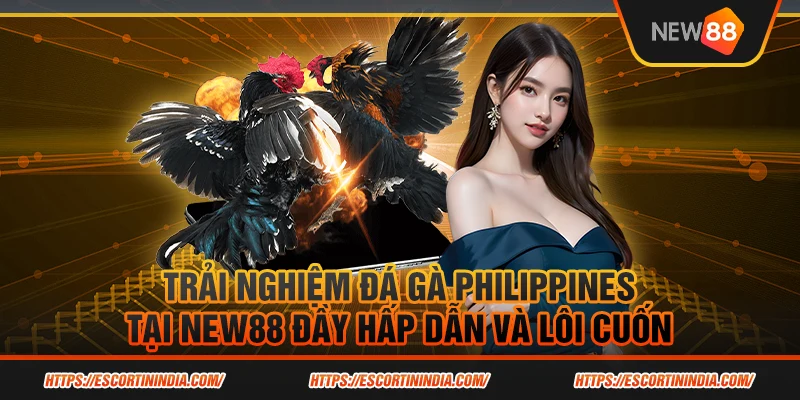 Trải nghiệm đá gà Philippines tại New88 đầy hấp dẫn và lôi cuốn 1 Trải nghiệm đá gà Philippines tại New88 đầy hấp dẫn và lôi cuốn