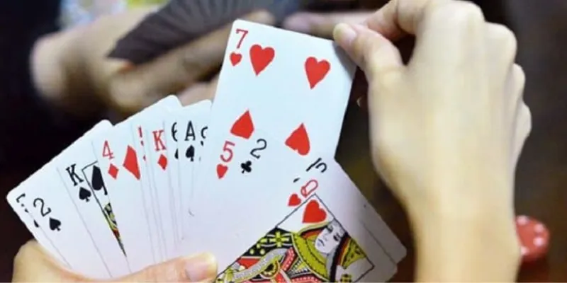 Cách dụ heo đỏ để chặt từ dân chơi bài lão luyện 3 Cách dụ heo đỏ để chặt chính xác