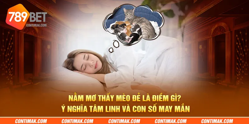 nam mo thay meo de la diem gi y nghia tam linh va con so may man 8 11zon