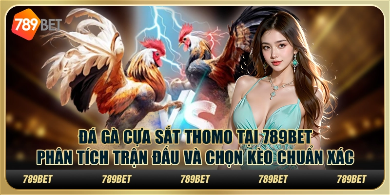 Đá gà cựa sắt Thomo tại 789Bet: Phân tích trận đấu và chọn kèo chuẩn xác 6 Đá gà cựa sắt Thomo tại 789Bet: Phân tích trận đấu và chọn kèo chuẩn xác