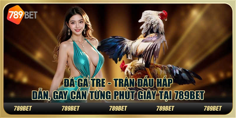 Đá gà tre - Trận đấu hấp dẫn, gay cấn từng phút giây tại 789Bet