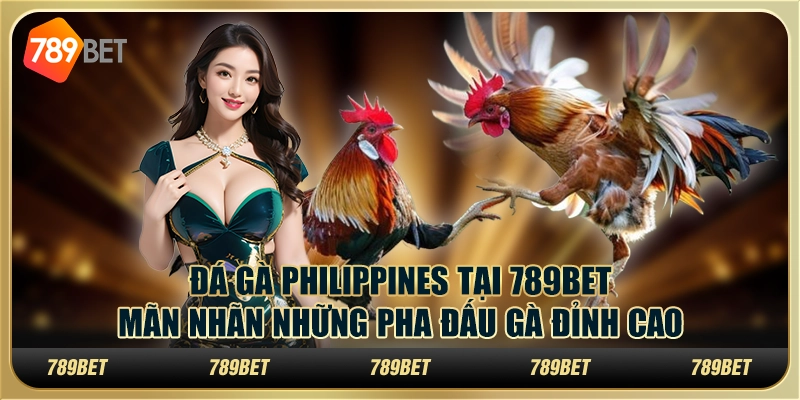 Đá gà Philippines tại 789Bet - Mãn nhãn những pha đấu gà đỉnh cao