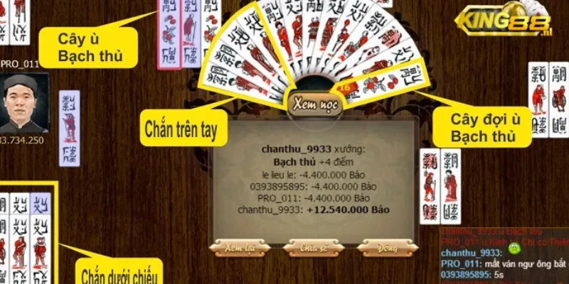 Cách đánh bài chắn: Bí kíp và chiến thuật không thể bỏ qua 3 Hướng dẫn cách đánh bài chắn dành cho người mới