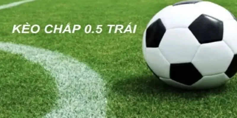 Kèo chấp nửa trái: Cách đọc kèo và đặt cược thông minh 3 Hướng dẫn chi tiết cách đọc kèo chấp nửa trái cho tân binh