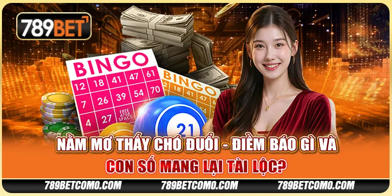 Nằm mơ thấy chó đuổi - Điềm báo gì và con số mang lại tài lộc?