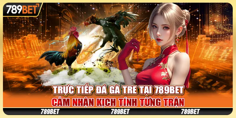 Trực tiếp đá gà tre tại 789Bet: Cảm nhận kịch tính từng trận 1 Trực tiếp đá gà tre tại 789Bet: Cảm nhận kịch tính từng trận