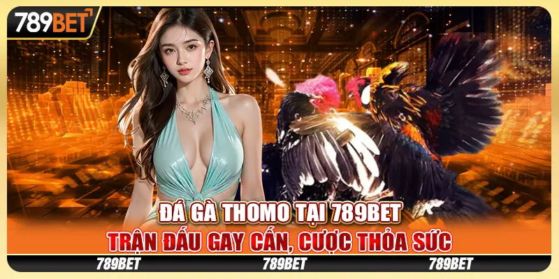 Đá gà Thomo tại 789Bet: Trận đấu gay cấn, cược thỏa sức 3 Đá gà Thomo tại 789Bet: Trận đấu gay cấn, cược thỏa sức