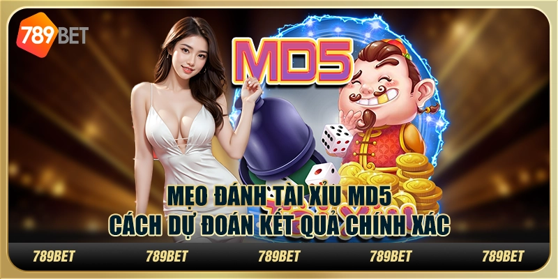 Mẹo đánh tài xỉu MD5 - Cách dự đoán kết quả chính xác 1 Mẹo đánh tài xỉu MD5 - Cách dự đoán kết quả chính xác