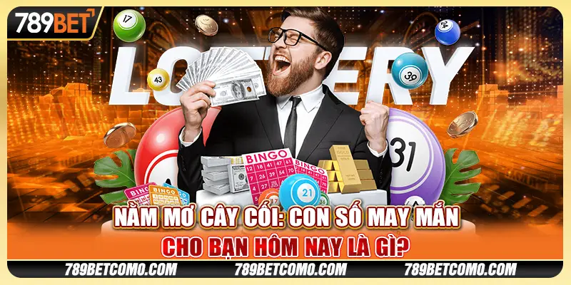 Nằm mơ thấy cây cối: Con số may mắn cho bạn hôm nay là gì?