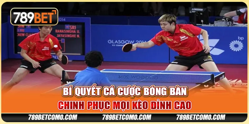 Bí quyết cá cược bóng bàn tại 789Bet - Chinh phục mọi kèo đỉnh cao