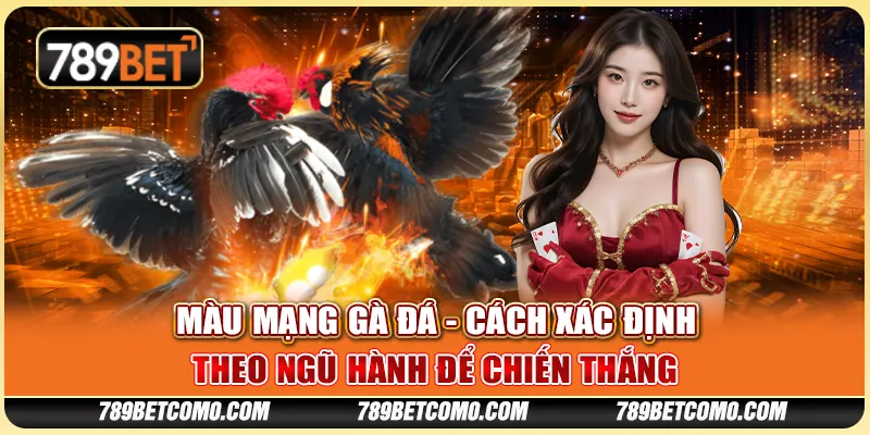 Màu mạng gà đá - Cách xác định theo ngũ hành để chiến thắng