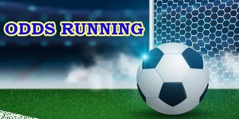Hướng dẫn chi tiết và dễ hiểu về cách đọc Odds
