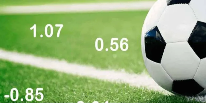 Mẹo chọn tỷ lệ cược tốt nhất cho các cược