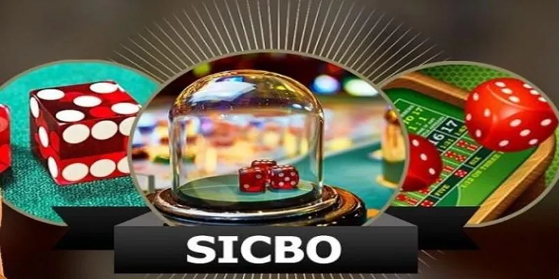 Luật Chơi Sicbo - Chìa Khóa Thành Công Cho Người Mới Tham Gia 2 Đôi nét về tựa game sicbo tại 789bet