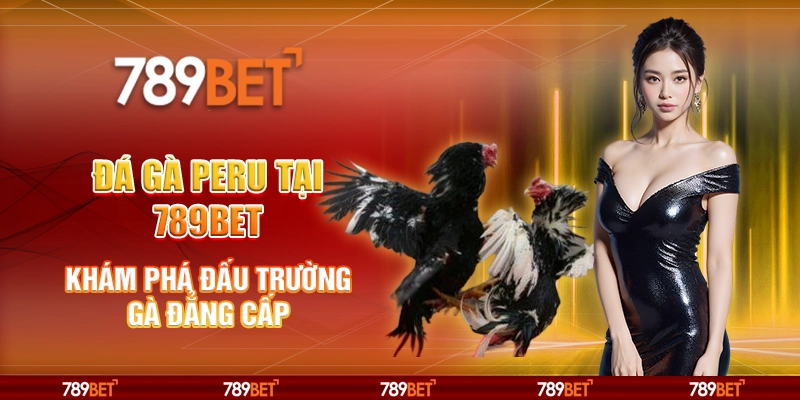 10 da ga peru tai 789bet kham pha dau truong ga dang cap