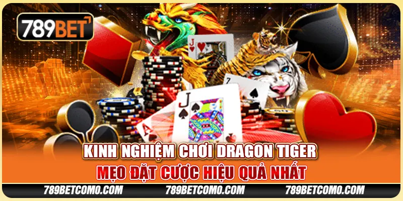 Kinh nghiệm chơi Dragon Tiger - Mẹo đặt cược hiệu quả nhất