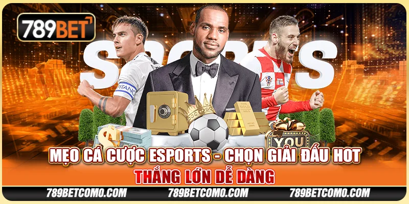 Mẹo cá cược Esports - Chọn giải đấu hot, thắng lớn dễ dàng 1 Mẹo cá cược Esports - Chọn giải đấu hot, thắng lớn dễ dàng