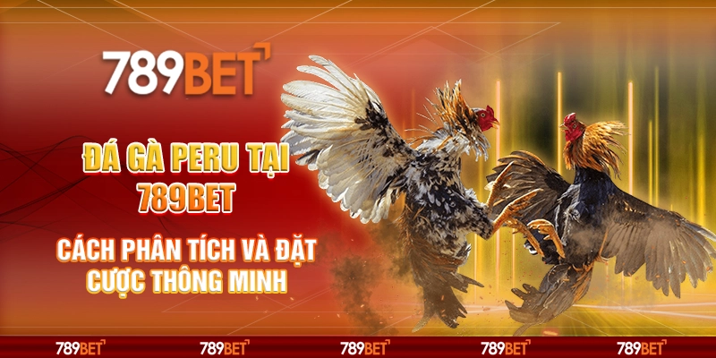 Đá Gà Peru tại 789Bet - Khám phá đấu trường gà đẳng cấp