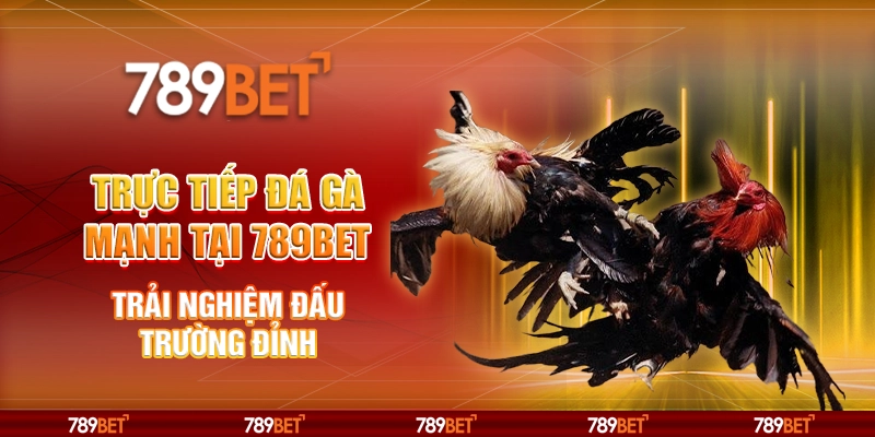 12 truc tiep da ga manh tai 789bet trai nghiem dau truong dinh