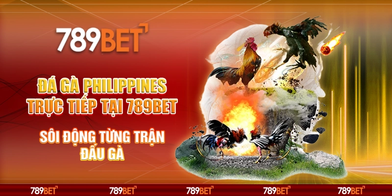 Đá gà Philippines trực tiếp tại 789Bet - Sôi động từng trận đấu gà 1 13 da ga philippines truc tiep tai 789bet soi dong tung tran dau ga