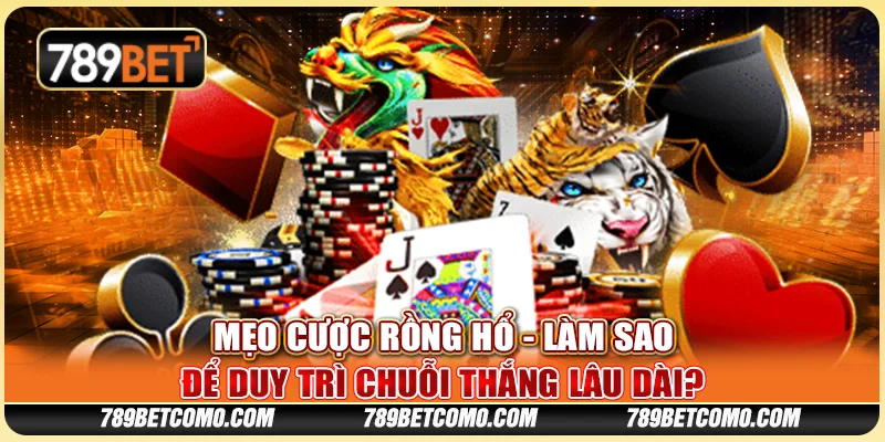 Mẹo cược Rồng Hổ - Làm sao để duy trì chuỗi thắng lâu dài? 1 Mẹo cược Rồng Hổ - Làm sao để duy trì chuỗi thắng lâu dài?