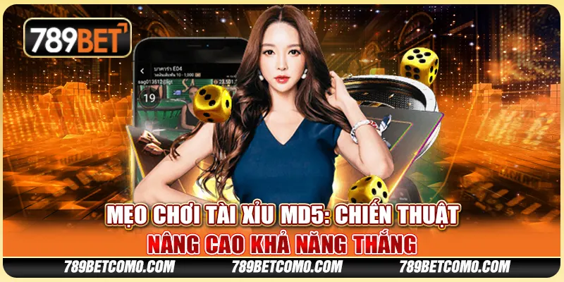 Mẹo chơi tài xỉu MD5: Chiến thuật nâng cao khả năng thắng