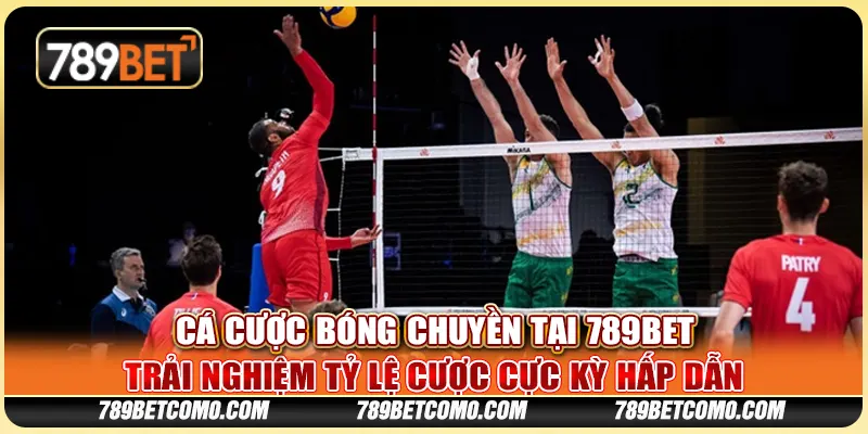 Cá cược bóng chuyền tại 789Bet - Trải nghiệm tỷ lệ cược cực kỳ hấp dẫn