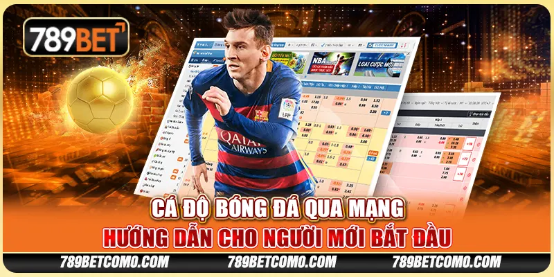 Cá độ bóng đá qua mạng - Hướng dẫn cho người mới bắt đầu