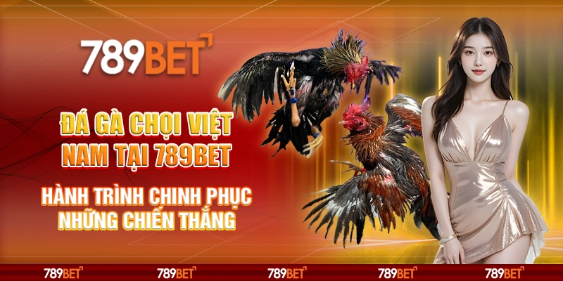 Đá gà chọi Việt Nam tại 789Bet - Hành trình chinh phục những chiến thắng