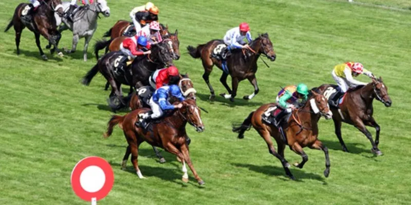 Tổng quan về loại hình cá cược đua ngựa