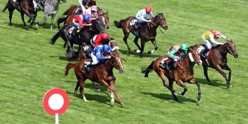 Cá cược đua ngựa tại 789Bet - Trải nghiệm đỉnh cao của tốc độ 2 Thông tin về việc cá cược trong đua ngựa