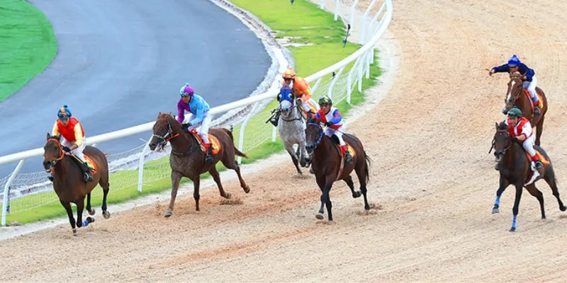 Cá cược đua ngựa tại 789Bet - Trải nghiệm đỉnh cao của tốc độ 3 Phân tích các hình thức cược đua ngựa tại 789Bet