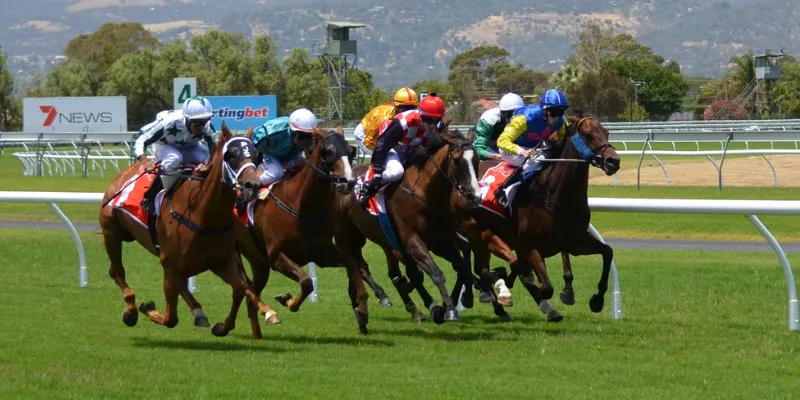 Kinh nghiệm giúp bạn thành công khi cá cược đua ngựa