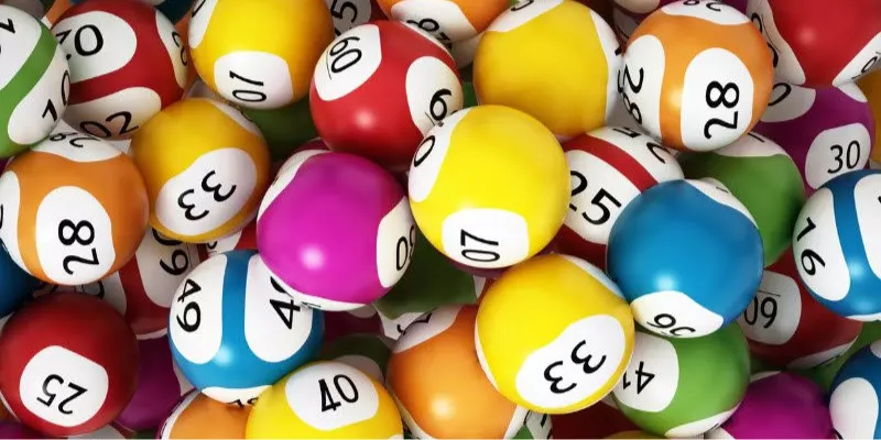 Chia sẻ kinh nghiệm nuôi lô rơi để trúng lớn