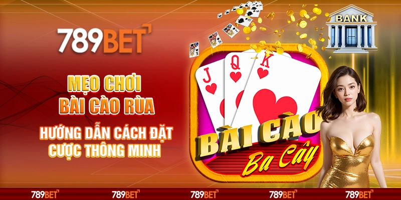 Mẹo chơi bài cào rùa – hướng dẫn cách đặt cược thông minh