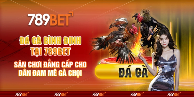 Đá gà Bình Định tại 789Bet - Sân chơi đẳng cấp cho dân đam mê gà chọi