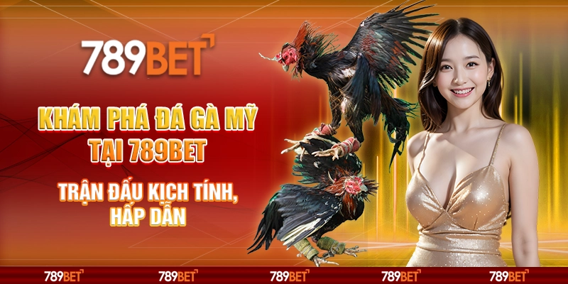 Khám phá đá gà mỹ tại 789Bet – Trận đấu kịch tính, hấp dẫn
