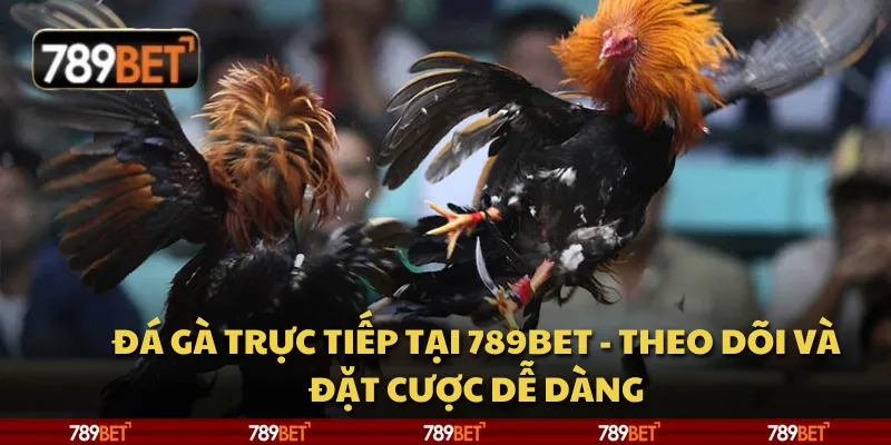 Đá gà trực tiếp tại 789Bet - theo dõi và đặt cược dễ dàng
