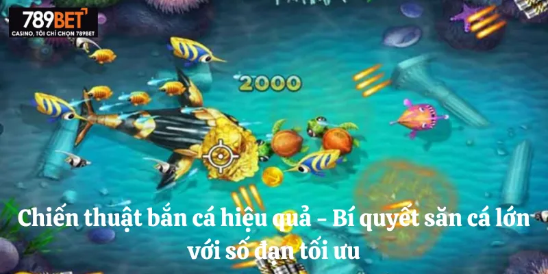 Chiến thuật bắn cá hiệu quả - bí quyết săn cá lớn với số đạn tối ưu 1 Chiến thuật bắn cá hiệu quả - bí quyết săn cá lớn với số đạn tối ưu