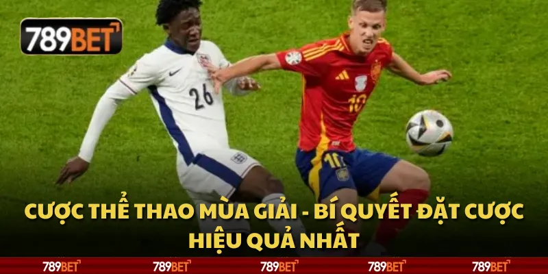 Cược thể thao mùa giải - Bí quyết đặt cược hiệu quả nhất