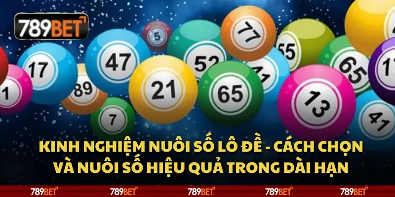 Kinh nghiệm nuôi số lô đề - Cách chọn và nuôi số hiệu quả trong dài hạn