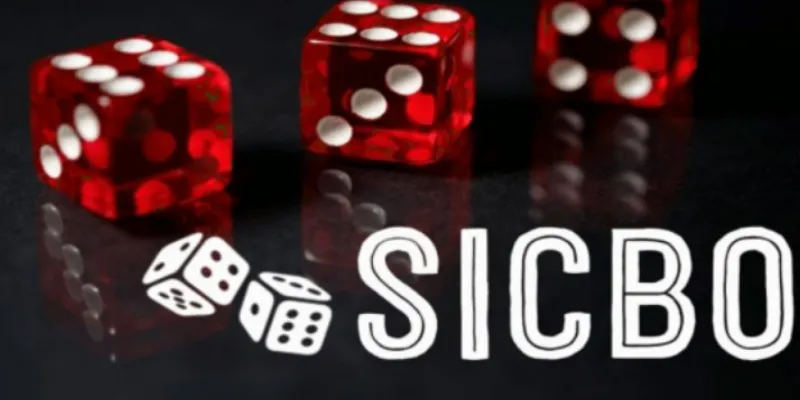 Cách bắt cầu sicbo - Hướng dẫn đọc cầu giúp thắng lớn 3 Cách bắt cầu Sicbo chuẩn xác mà bạn không thể bỏ qua