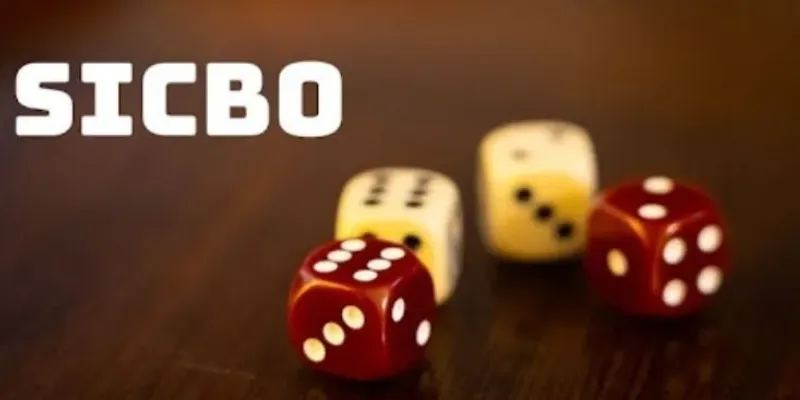 Cách bắt cầu sicbo - Hướng dẫn đọc cầu giúp thắng lớn 2 Các dạng cầu trong Sicbo và phương pháp nhận biết