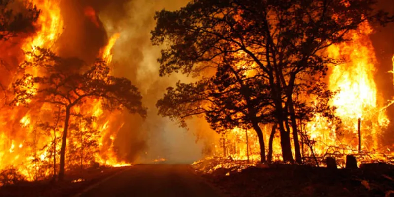 Nằm mơ thấy lửa - Con số may mắn giúp bạn phát tài 2 Nằm mơ thấy lửa bùng phát lớn