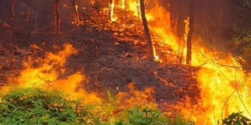 Nằm mơ thấy lửa - Con số may mắn giúp bạn phát tài 4 Con số ý nghĩa khi mơ thấy lửa bùng cháy